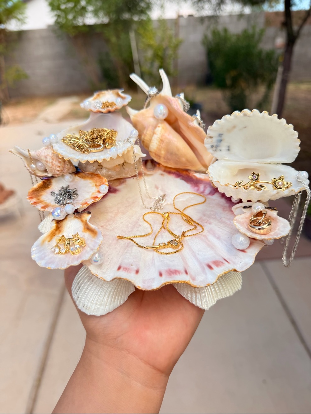 Handmade Seashell Jewelry Holder